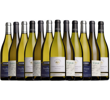 Fine White Burgundy Mixed Case