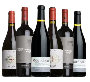 The Ultimate BBQ Red Wine Case