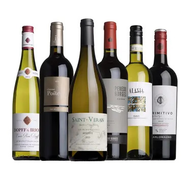 Dinner Party Mixed Case