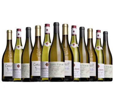 Entertaining White Case