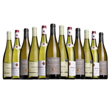 Christmas Entertaining White Case