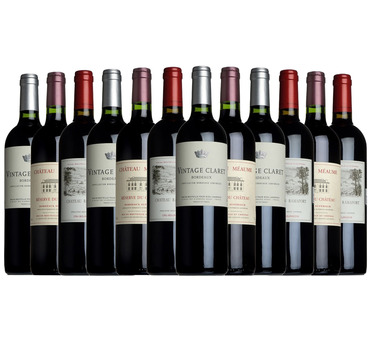 The Best of Bordeaux Taster Case