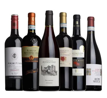 The Italian Taster Case