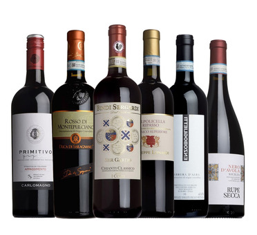 The Italian Taster Case