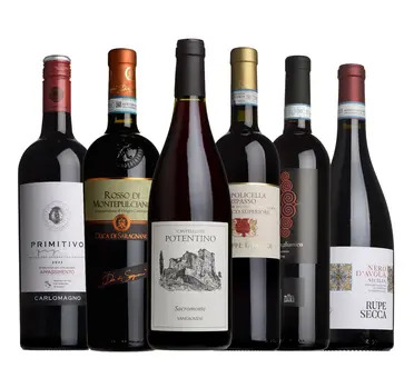 The Italian Taster Case