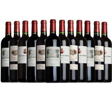 Best of Bordeaux Taster Case