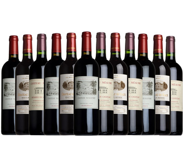 Best of Bordeaux Taster Case
