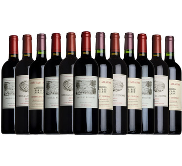 Best of Bordeaux Taster Case