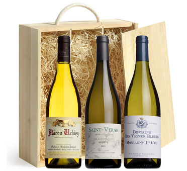Top White Burgundy Wine Gift Box