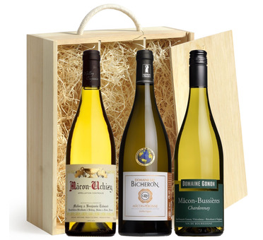 Top White Burgundy Wine Gift Box