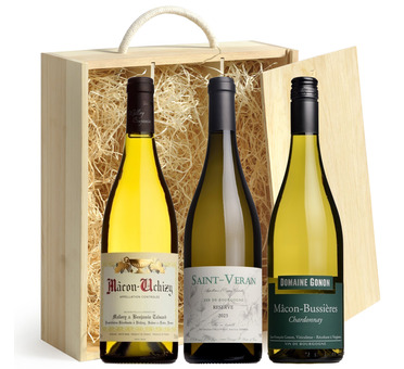 Top White Burgundy Wine Gift Box