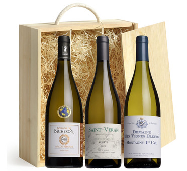 Top White Burgundy Wine Gift Box