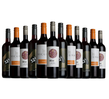 Malbec Mixed Wine Case