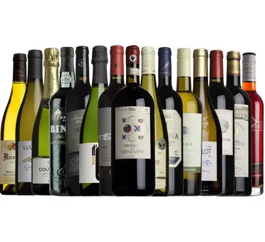 Christmas All Wrapped Up Case