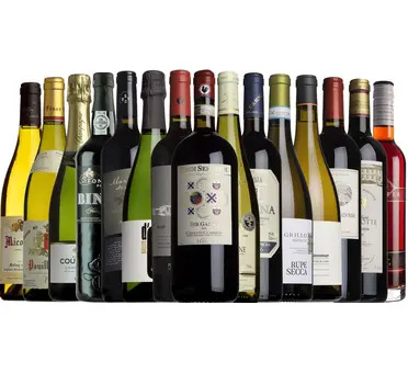 Christmas All Wrapped Up Case