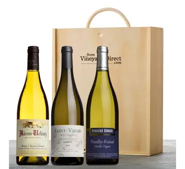 Top White Burgundy Wine Gift Box