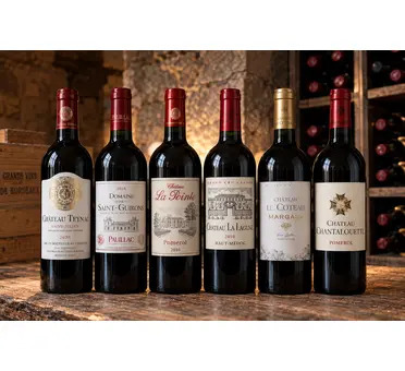 The Bordeaux Discovery Case 