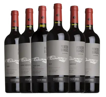Penedo Borges Mendoza Mixed Case