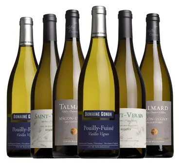 The Christmas White Burgundy Case