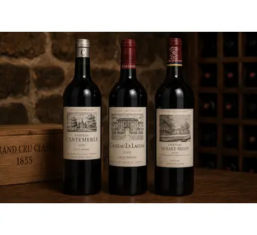 Bordeaux Collector's Case