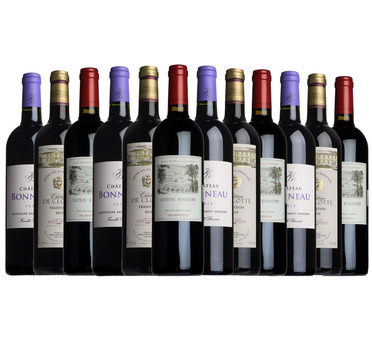 Best of Bordeaux Taster Case