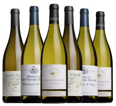 Fine White Burgundy Mixed Case