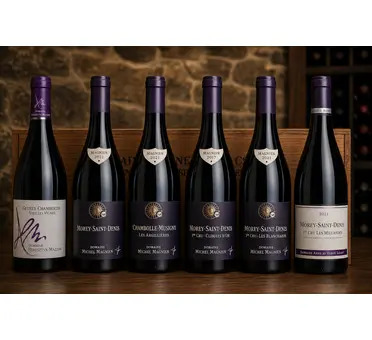 Cote de Nuits Discovery Case 