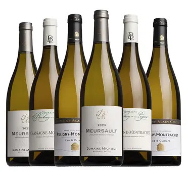 Iconic White Burgundy Mixed Case