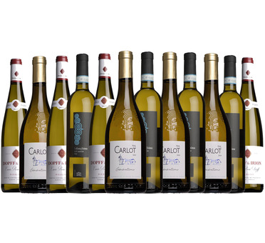 Summer Whites Mixed Case