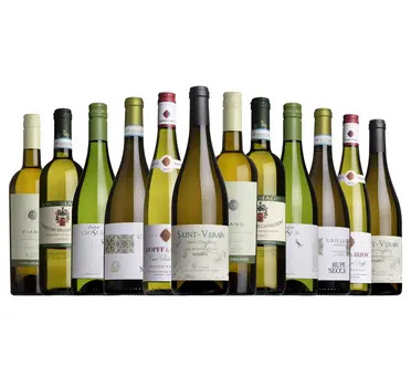 The Spectator Summer Discovery Mixed Case