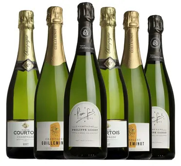 Spring Sale Fizz Case