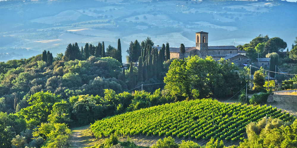 Rosso di Montalcino, La Gerla, Tuscany 2019
