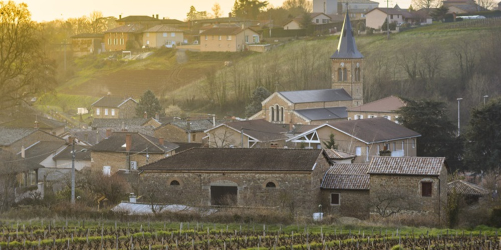Mâcon Chardonnay, Domaine Talmard 2022
