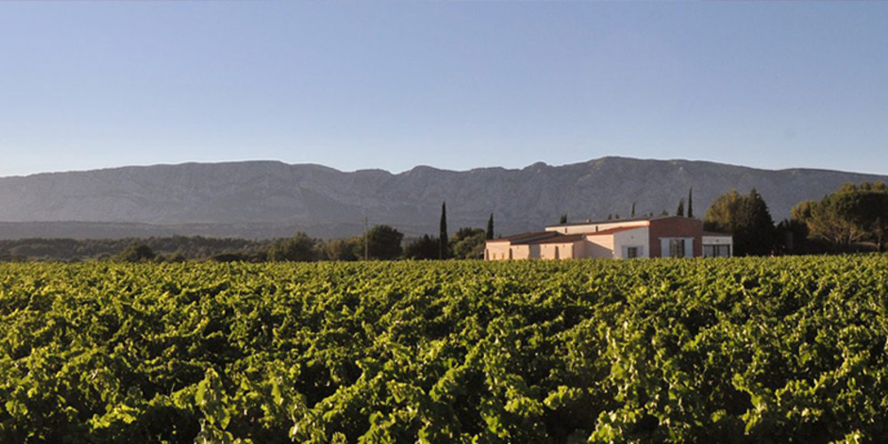 Mas de Cadenet Rosé, Famille Negrel, Côtes de Provence 2021