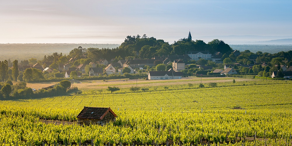 Village Montagny, Vignerons de Buxy 2020