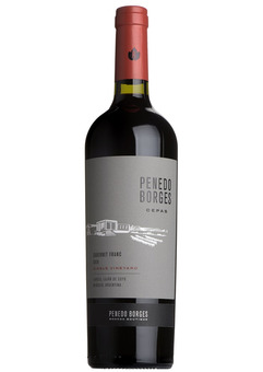 Cepas Single Vineyard Cabernet Franc, Penedo Borges, Mendoza 2020