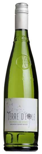 2024 Picpoul de Pinet, Terre d'Eole