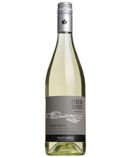 2023 Cepas Single Vineyard Sauvignon Blanc, Penedo Borges, Mendoza