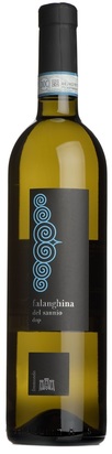 2023 Falanghina Di Sannio, Fremondo