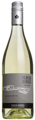 2023 Cepas Single Vineyard Sauvignon Blanc, Penedo Borges, Mendoza
