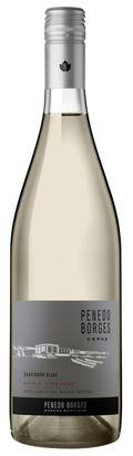 2023 Cepas Single Vineyard Sauvignon Blanc, Penedo Borges, Mendoza