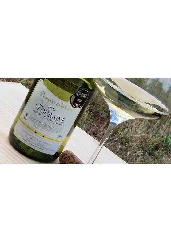 2025 Sauvignon de Touraine, Domaine Bellevue