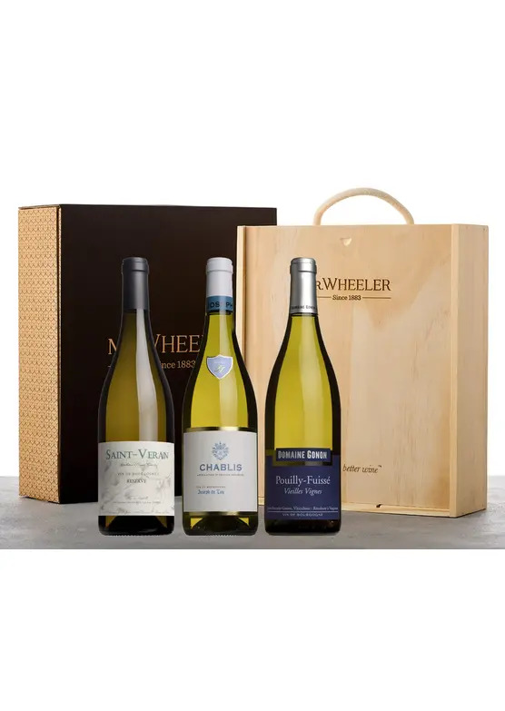 Fine White Burgundy Gift Box