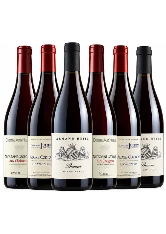 The Spectator Red Burgundy Mixed Case