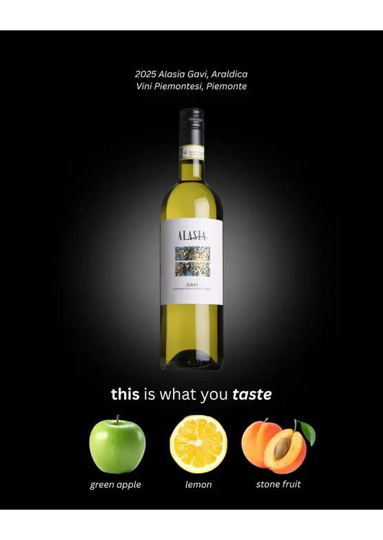 2025 Alasia Gavi, Araldica Vini Piemontesi, Piemonte
