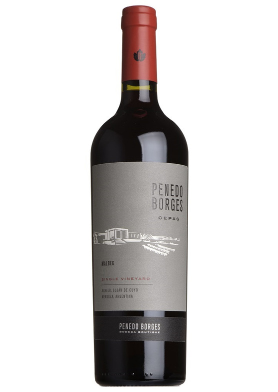 2020 Cepas Single Vineyard Malbec, Penedo Borges, Mendoza