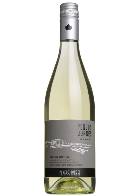 2023 Cepas Single Vineyard Sauvignon Blanc, Penedo Borges, Mendoza