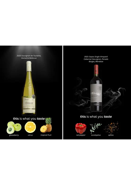 Dinner Party Mixed Case