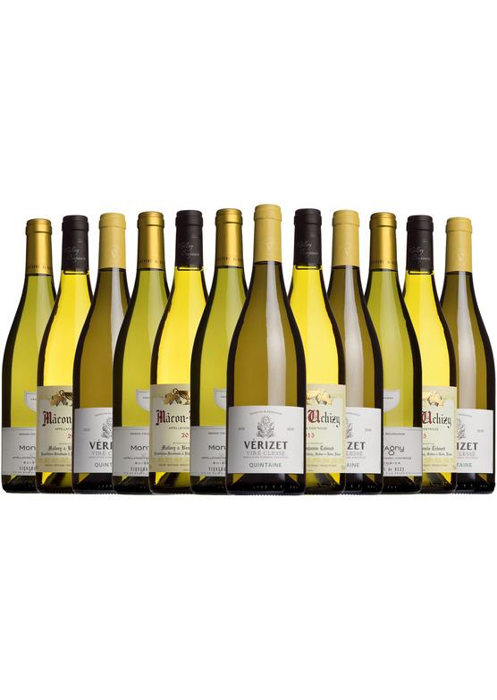 Brilliant White Burgundy Mixed Case Mr.Wheeler Wine