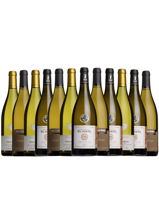 Fine White Burgundy Mixed Case